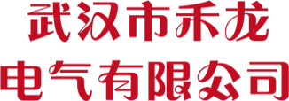 武汉市禾龙电气有限公司